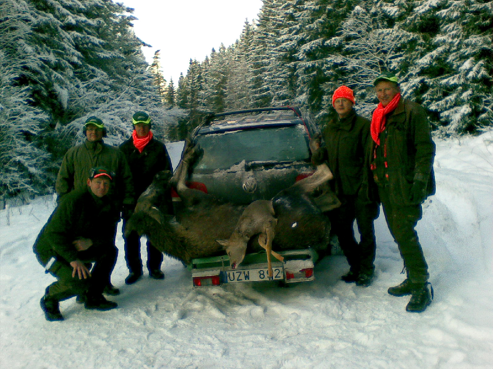 HECK-PACK -OPTIMAL - GALVANOITUA TERÄSTÄ - 9 ERI KOKOA