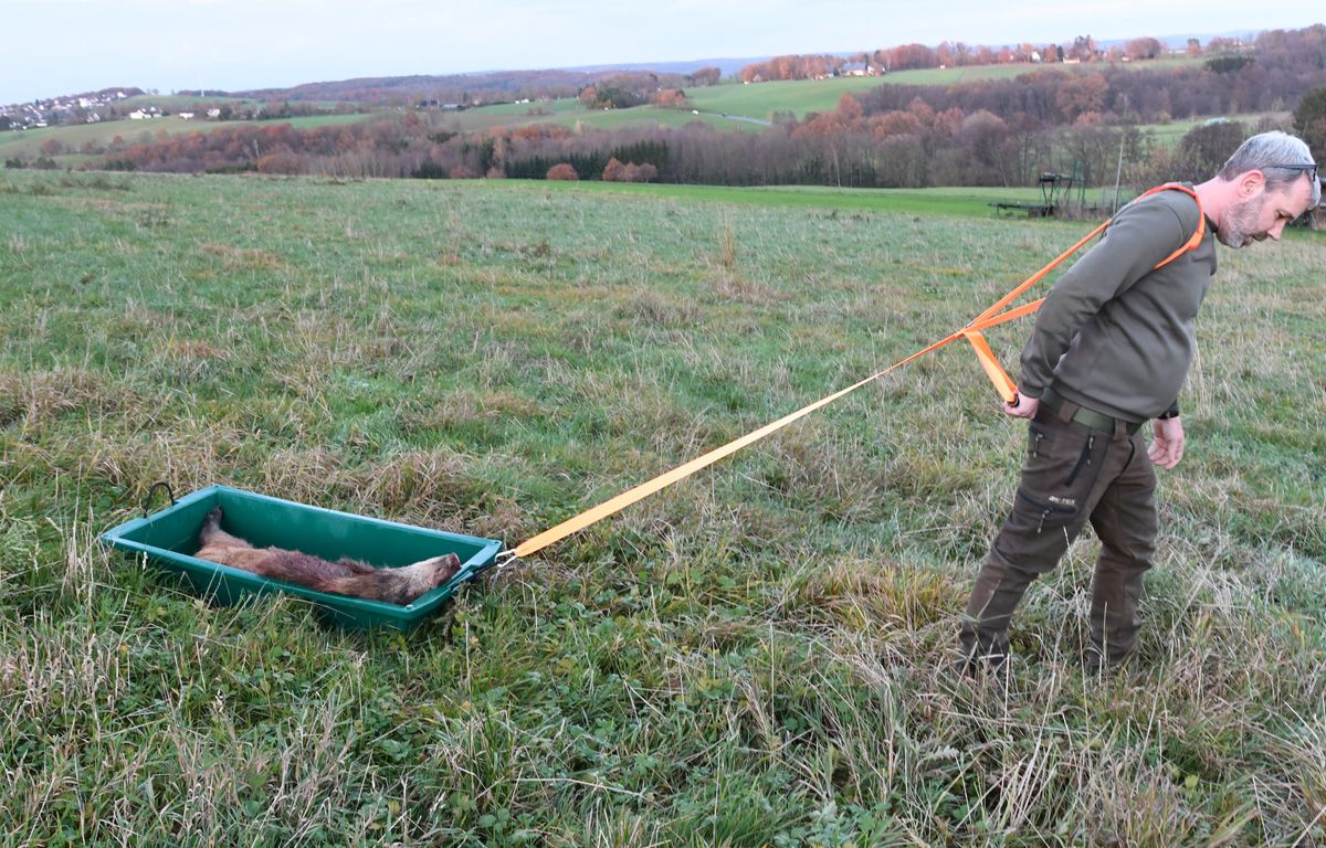 HECK-PACK RIISTAKAUKALO - 4 KOKOA